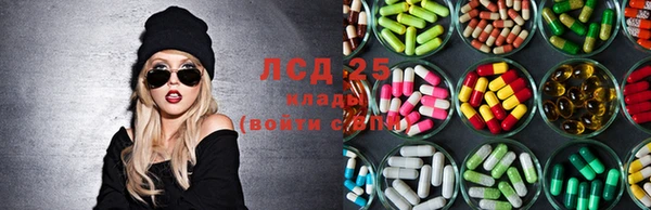 бошки Аркадак